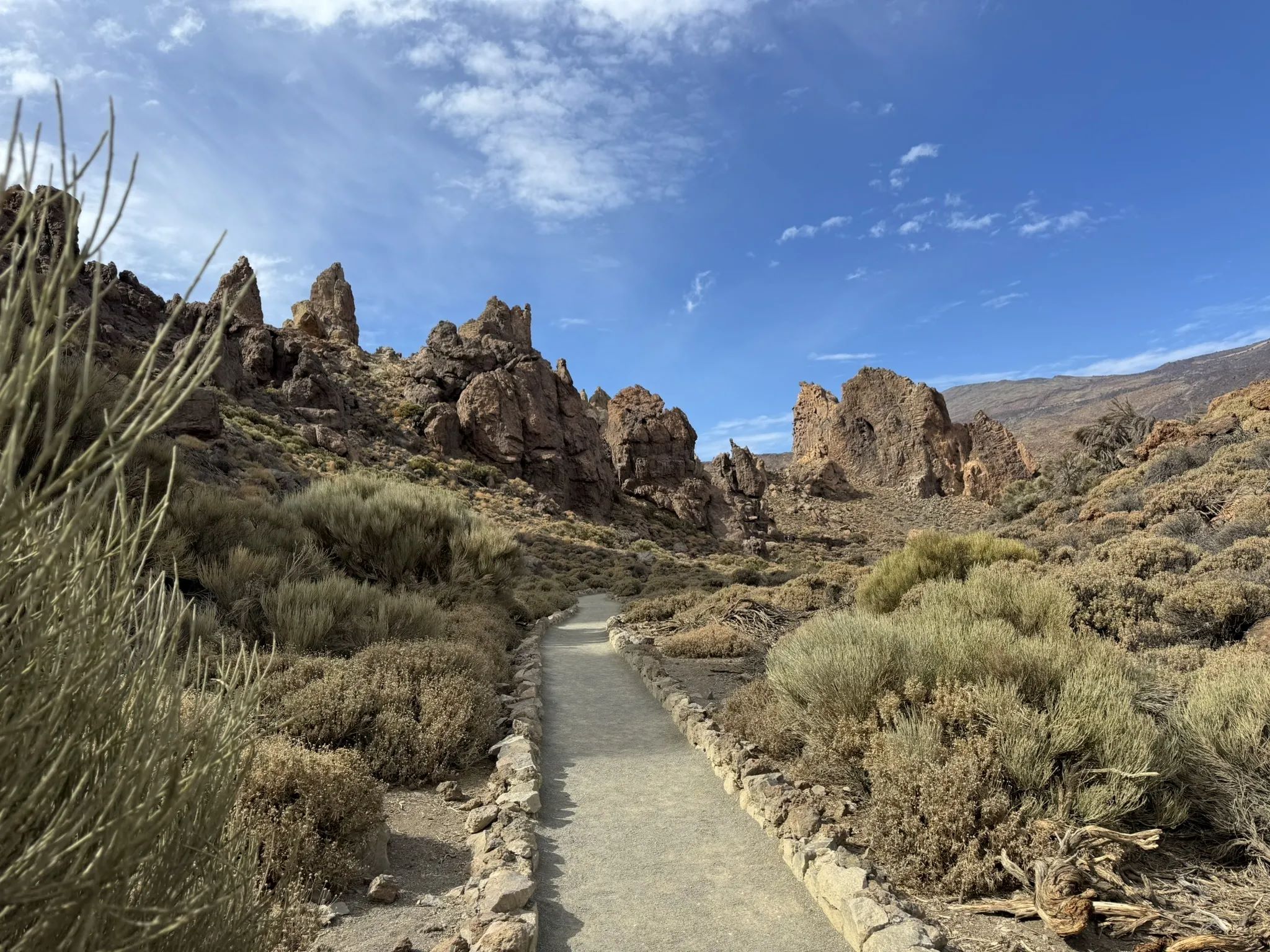 Roque_de_garcia
